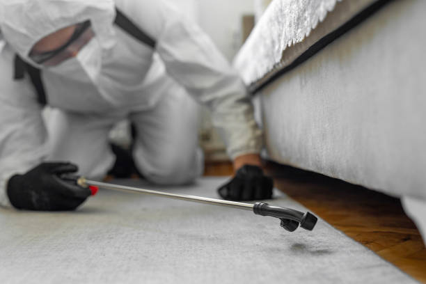 Professional Bed Bug Control technician working in Fayette County County, WV